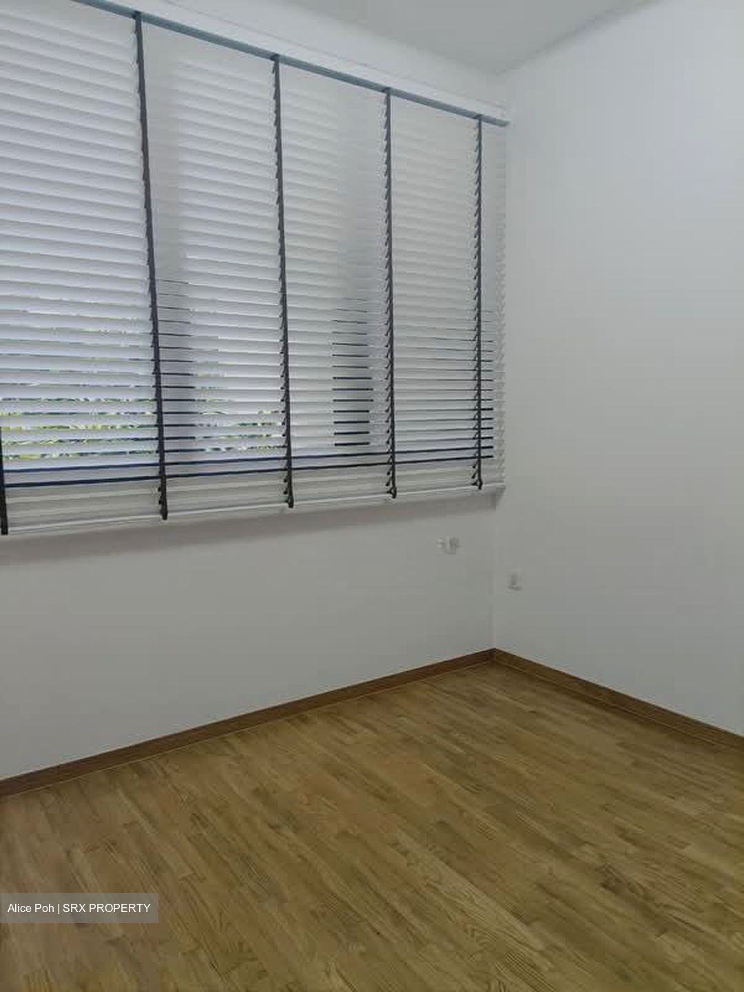 Park Colonial (D13), Condominium #568295161